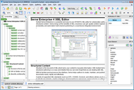 Serna Enterprise for Windows screenshot